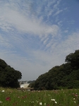 秋の空