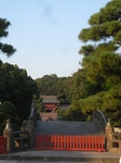 鶴岡八幡宮