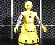 wakamaru